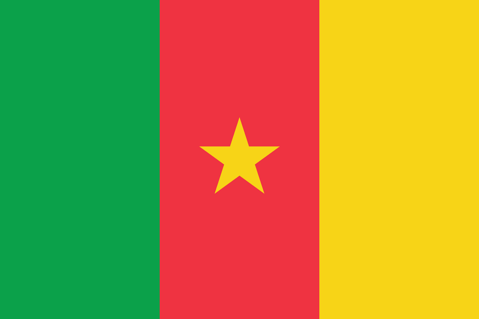 Flag Of Cameroon 2008 Summer Olympics Clipart, Star Symbol, Symbol Free Png