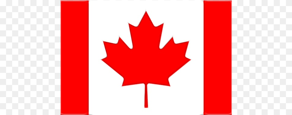 Flag Of Canada Great Canadian Flag Debate Flag Of Quebec 13 Point Canadian Flag, Leaf, Plant, Maple Leaf Png
