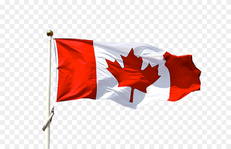 Flag Of Canada Image Real Canada Flag, Canada Flag Free Transparent Png