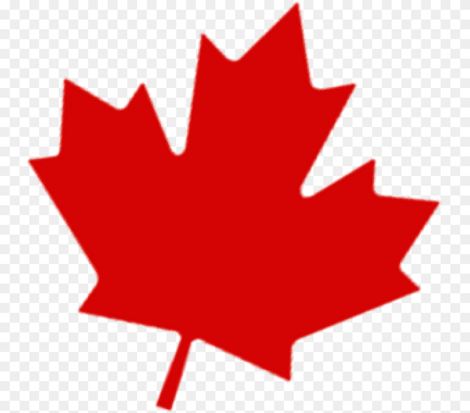 Flag Of Canada Maple Leaf Canada Day Clip Art, Maple Leaf, Plant, Tree Free Transparent Png