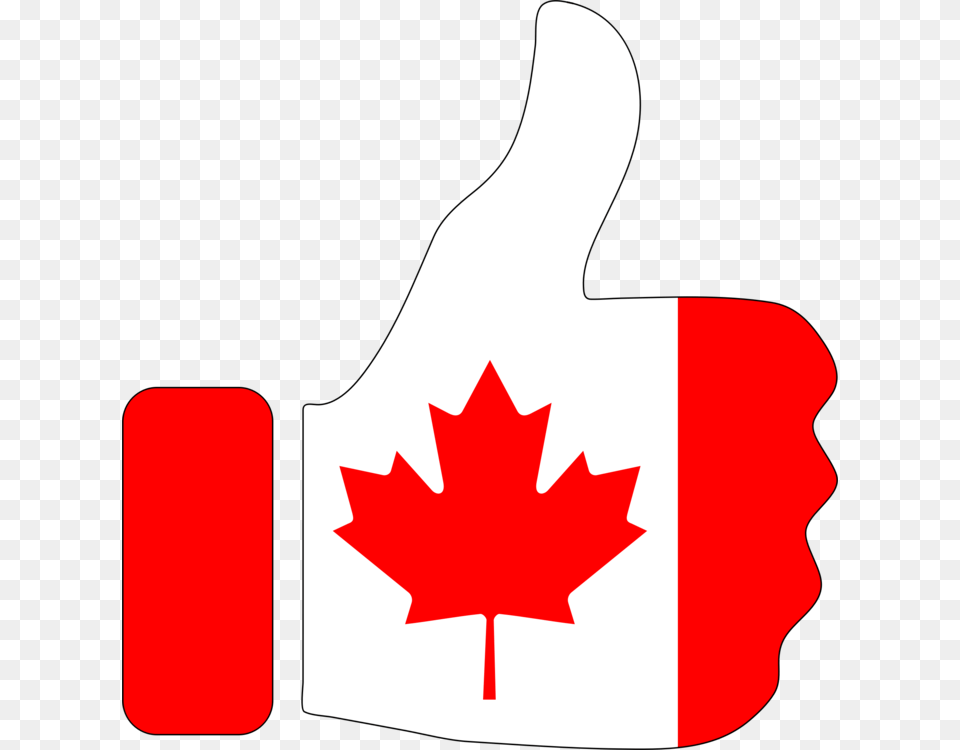 Flag Of Canada Maple Leaf National Flag, Plant, Maple Leaf, First Aid, Logo Png