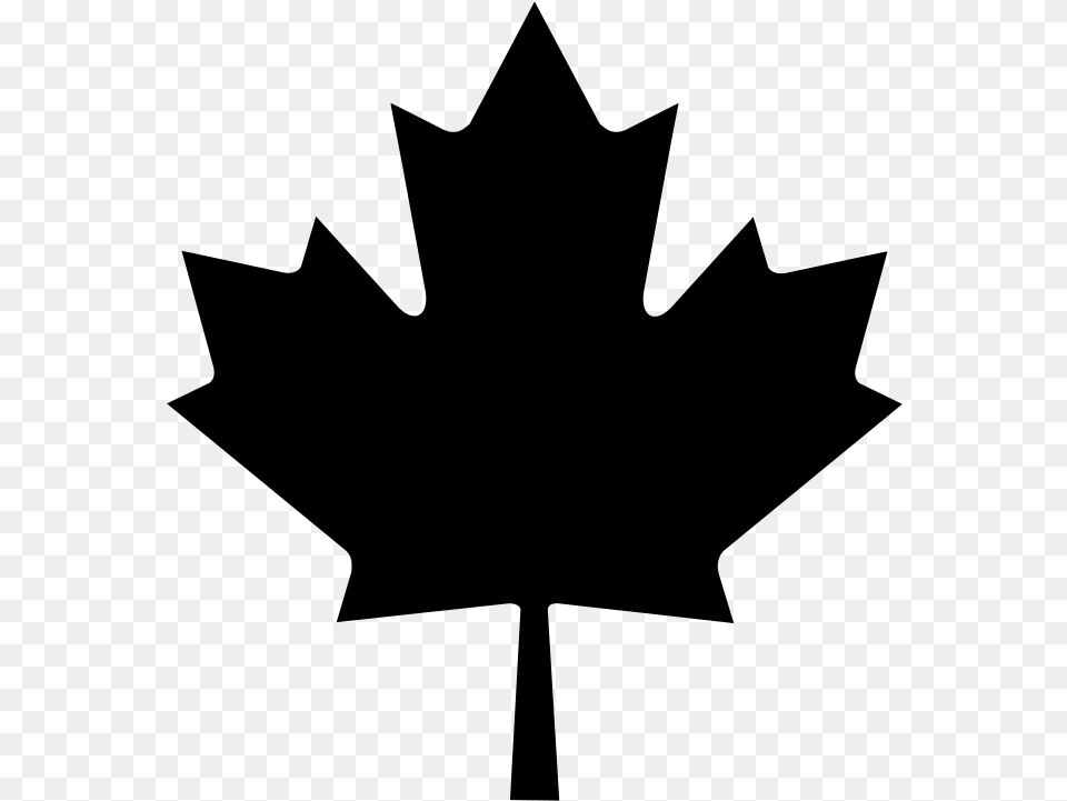 Flag Of Canada T Shirt Maple Leaf Black Maple Leaf Vector, Gray Png Image