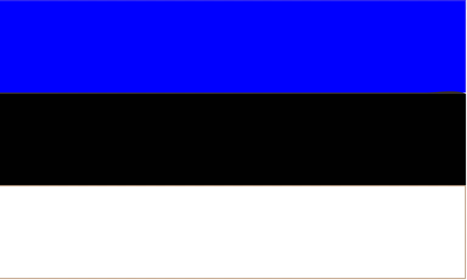 Flag Of Estonia Clipart Free Png Download