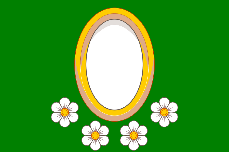 Flag Of Holkovy Clipart, Oval, Daisy, Flower, Plant Png Image