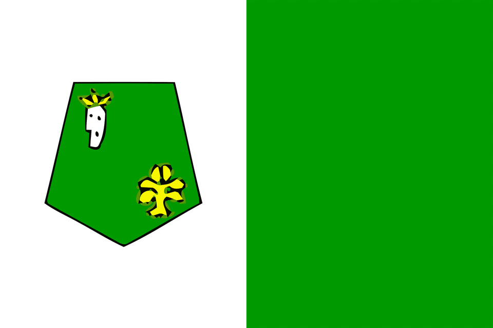 Flag Of Kenitra Province Clipart, Green Free Png