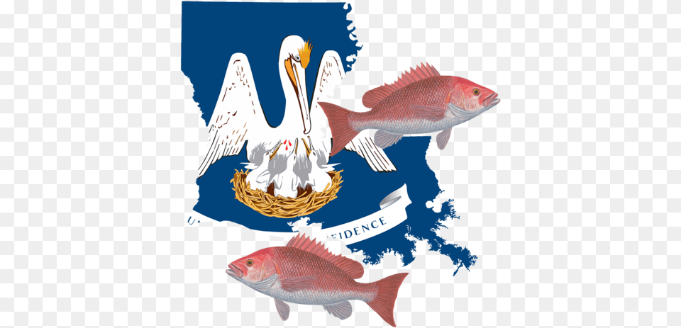 Flag Of Louisiana, Animal, Fish, Sea Life, Cutlery Png