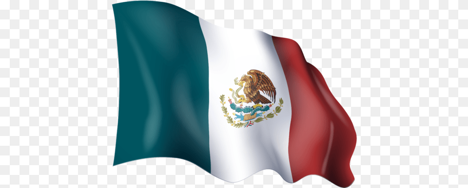 Flag Of Mexico Mexico Flag, Adult, Bride, Female, Mexico Flag Free Transparent Png