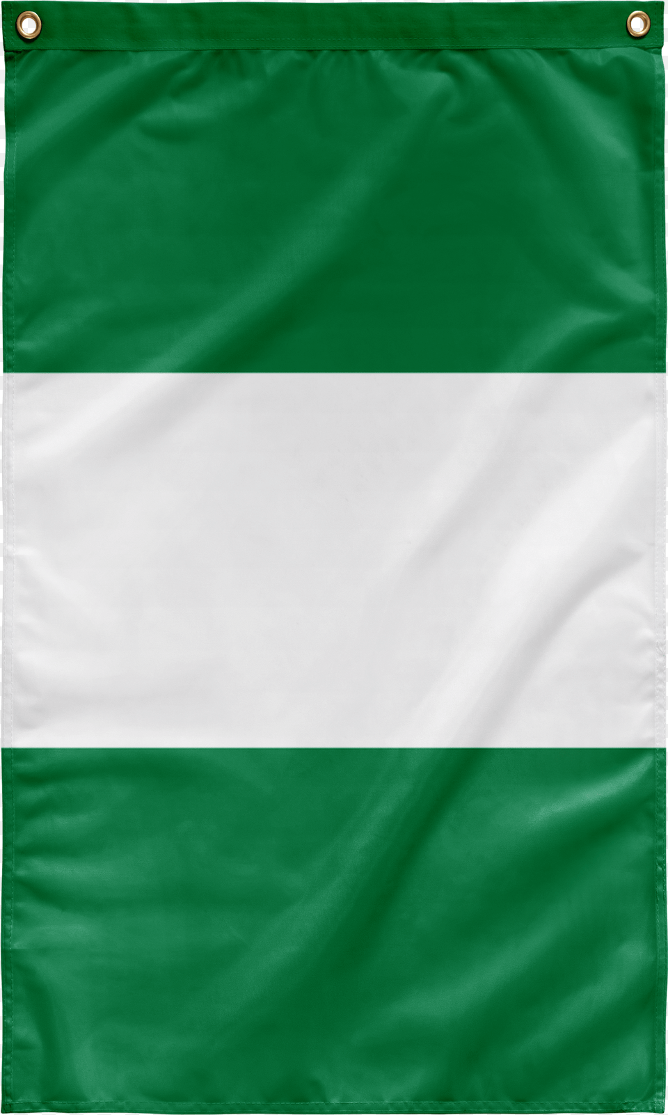 Flag Of Nigeria Flag, Nigeria Flag, Person Png