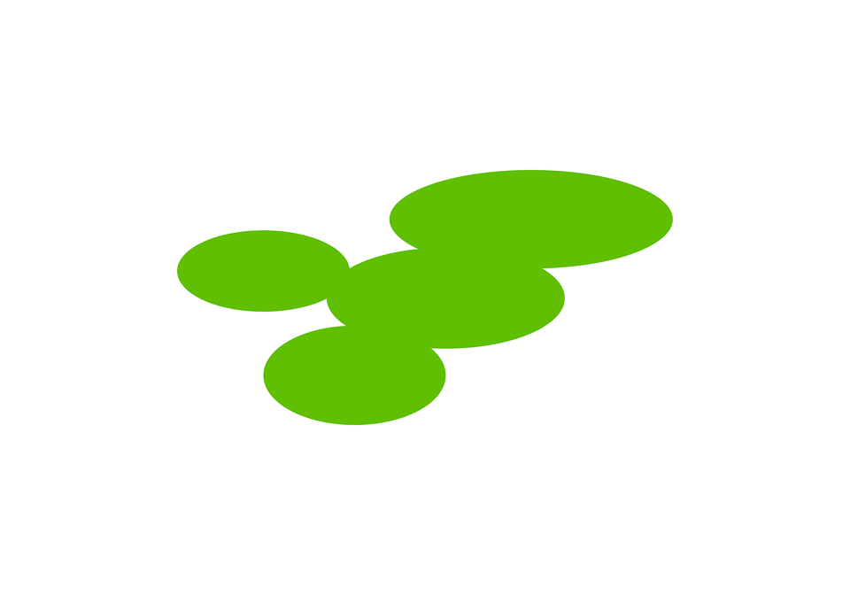 Flag Of Okuizumo Shimane Clipart, Green, Leaf, Plant, Animal Png Image