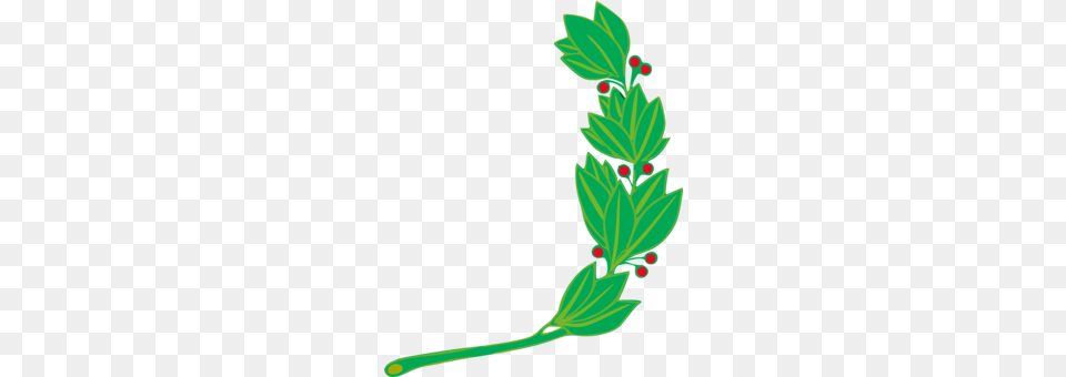 Flag Of Peru Coat Of Arms Of Peru National Symbols Of Peru Coat, Bud, Sprout, Plant, Leaf Png