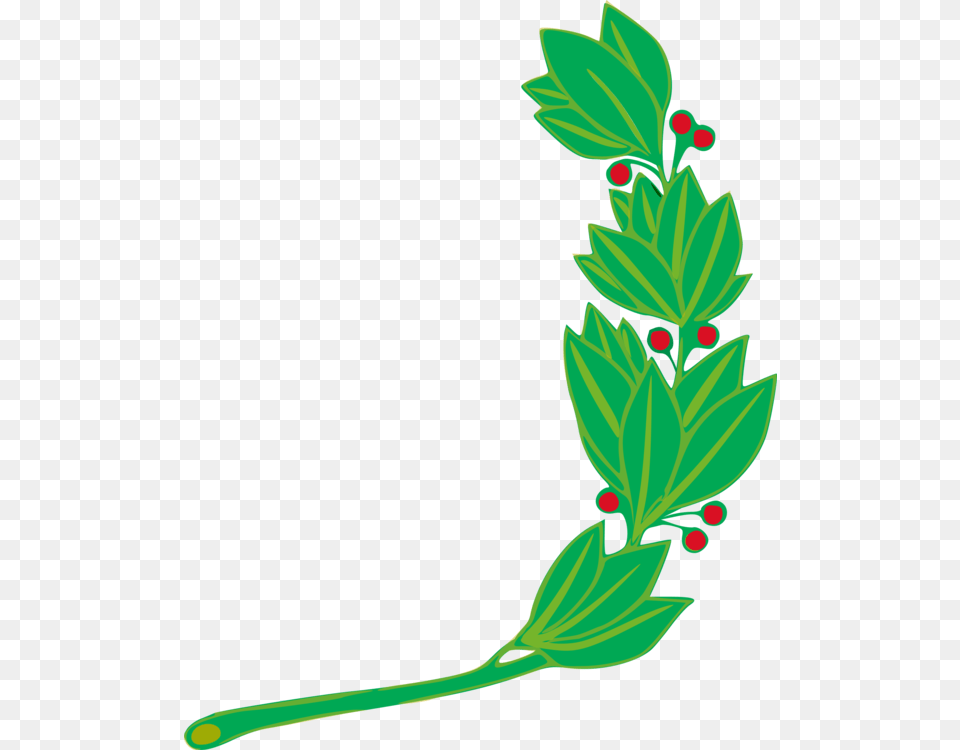 Flag Of Peru National Symbols Of Peru Coat Of Arms Of Peru Bud, Sprout, Plant, Leaf Free Png