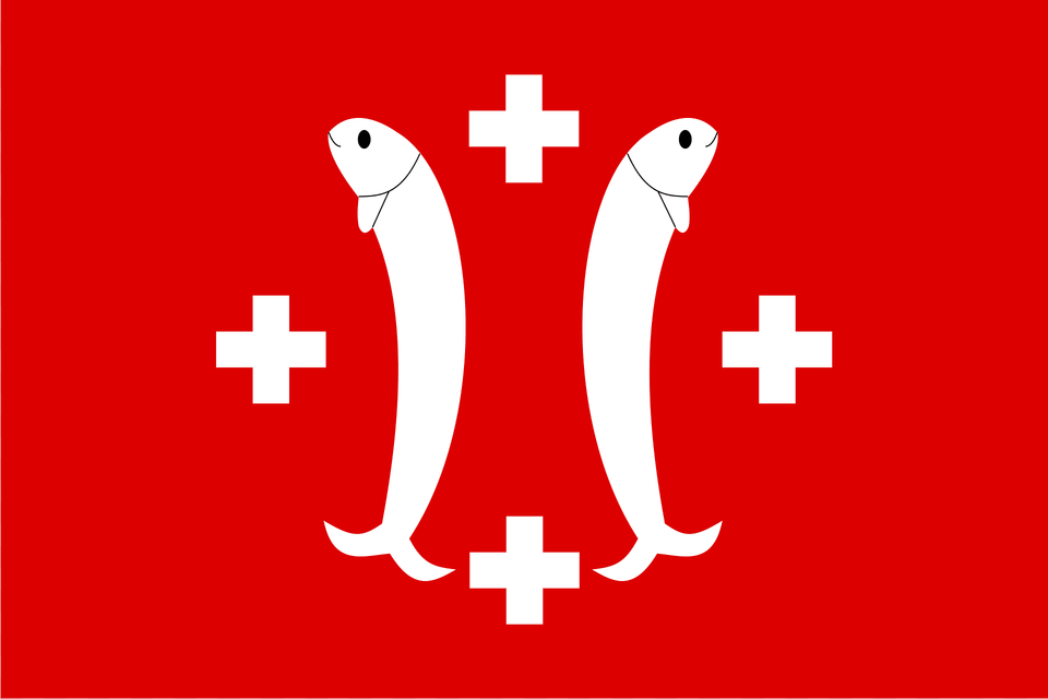 Flag Of Salm Salm Clipart, First Aid, Logo Png Image