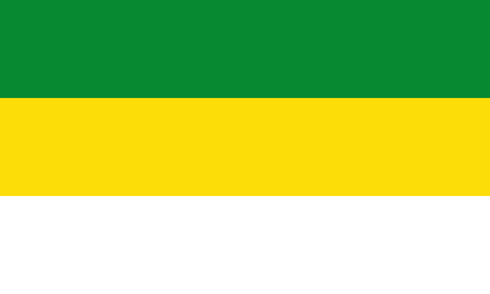 Flag Of San Carlos De Guaroa Meta Clipart Png Image