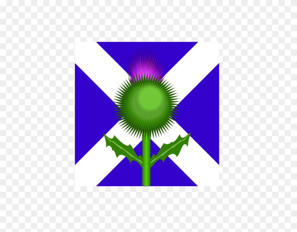 Flag Of Scotland Thistle National Flag, Flower, Plant, Green, Purple Free Transparent Png