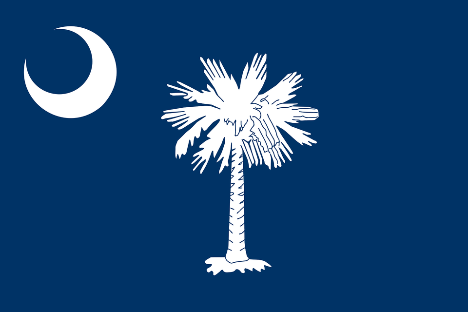Flag Of South Carolina Clipart, Tree, Plant, Palm Tree, Outdoors Png