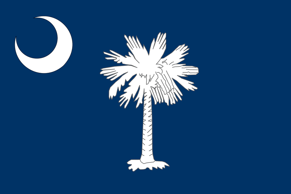 Flag Of South Carolina Clipart, Tree, Plant, Palm Tree, Outdoors Free Png