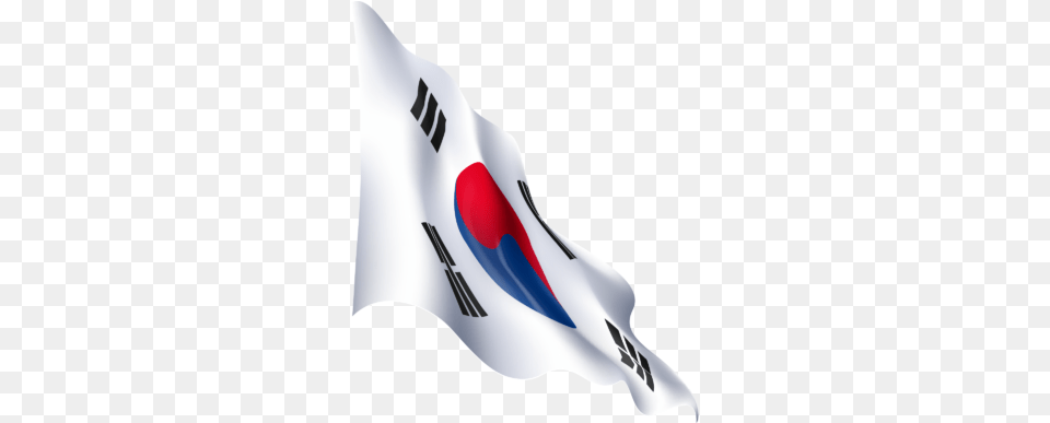 Flag Of South Korea Language, Adult, Female, Person, Woman Free Png