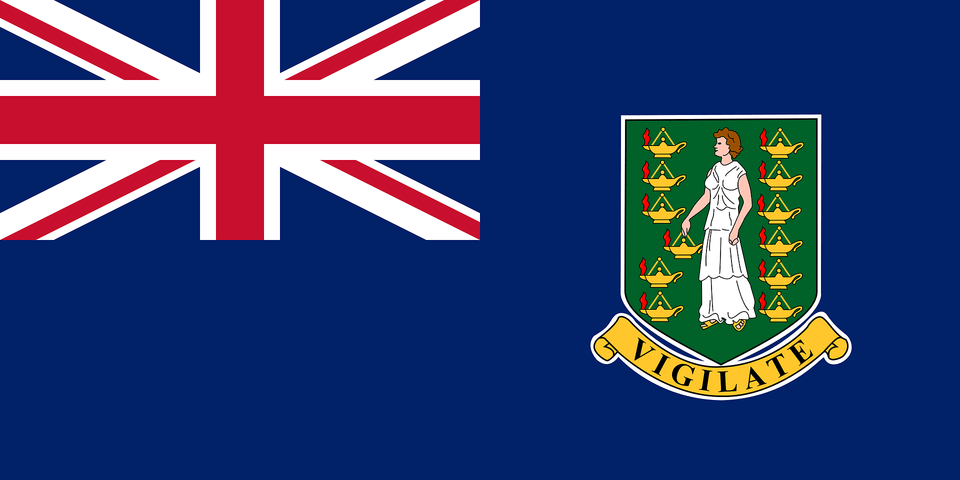 Flag Of The British Virgin Islands Clipart, Person, Logo, Face, Head Free Png Download