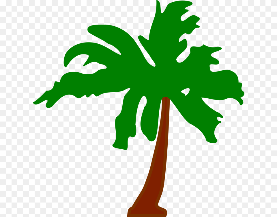 Flag Of The Cocos, Palm Tree, Plant, Tree, Person Png Image