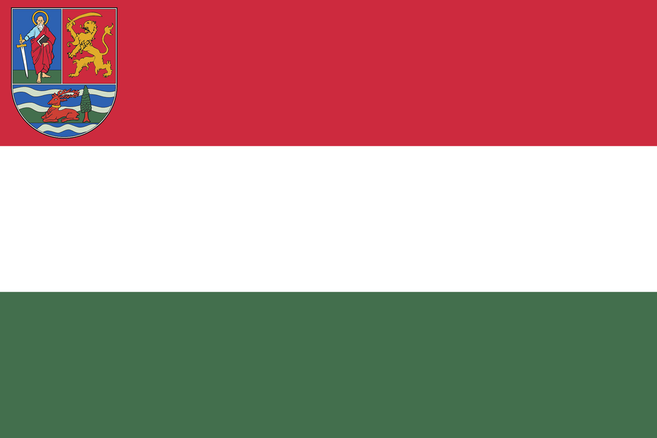 Flag Of The Hungarians In Vojvodina 2005 Proposal Clipart, Person Free Png Download