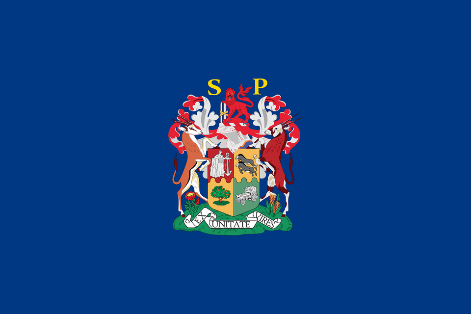 Flag Of The President Of South Africa Clipart, Person Png