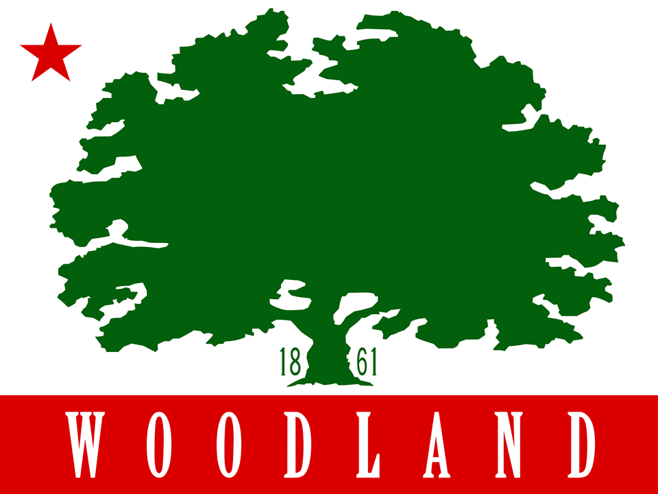 Flag Of Woodland California Clipart, Plant, Tree, Leaf, Vegetation Png