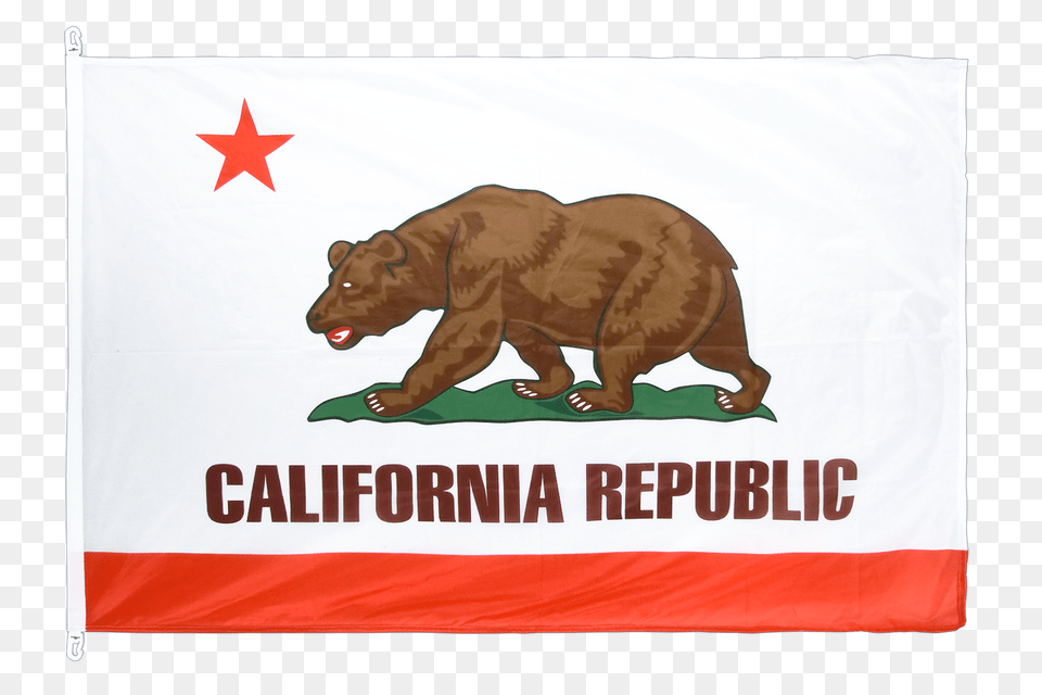 Flag Pro California, Animal, Bear, Mammal, Wildlife Free Transparent Png