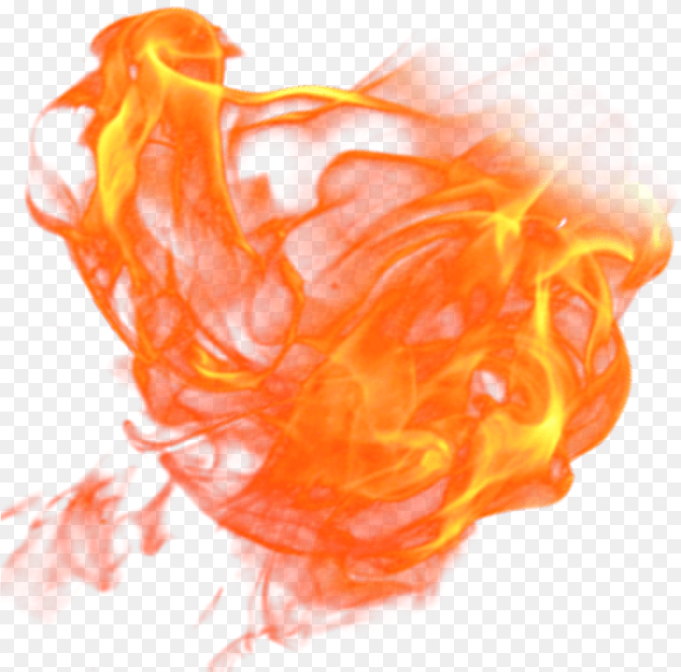 Flame Ball Fire Gif Transparent Animation, Flower, Plant, Rose Free Png