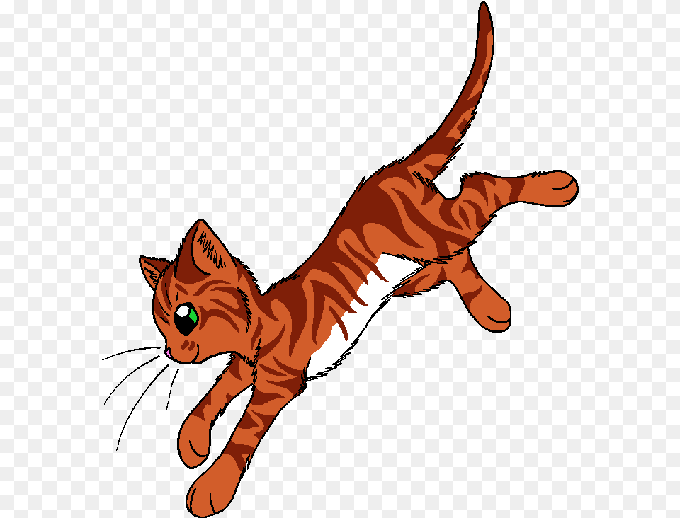 Flame Warrior Cats Dawn Of The Clans Slash, Baby, Person, Animal, Cat Free Png