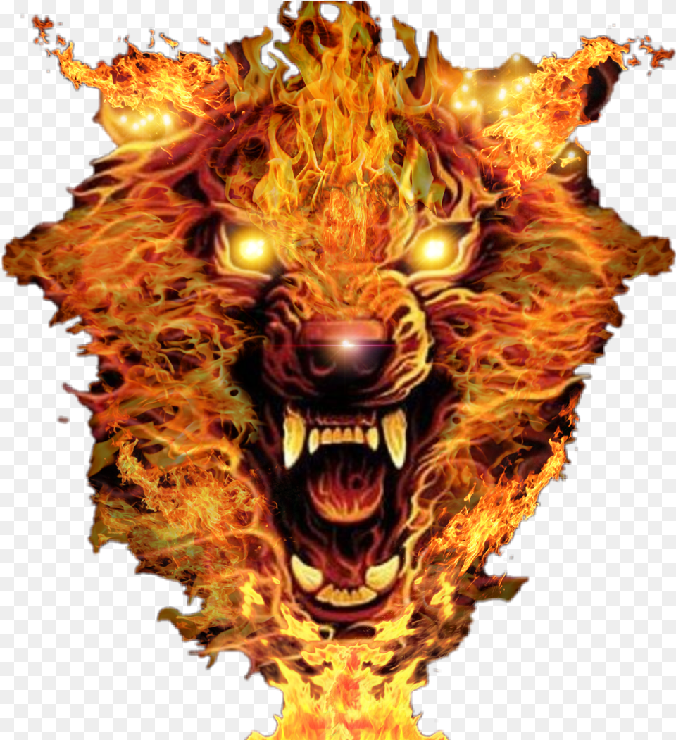 Flames Fire Wolf, Flame, Bonfire Free Transparent Png