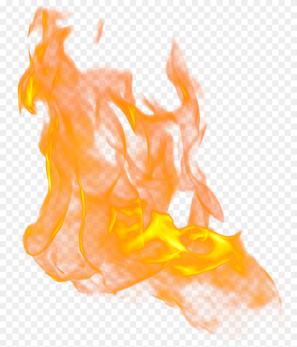 Flames Transparent Free Transparent Fire Flame, Plant Png Image