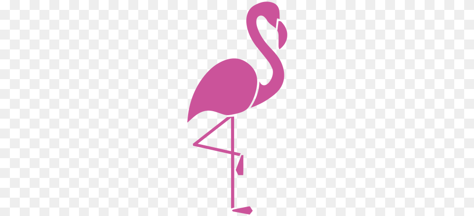Flaming Dla Kadej Kobiety Siluet Flamingo, Animal, Bird Free Png Download
