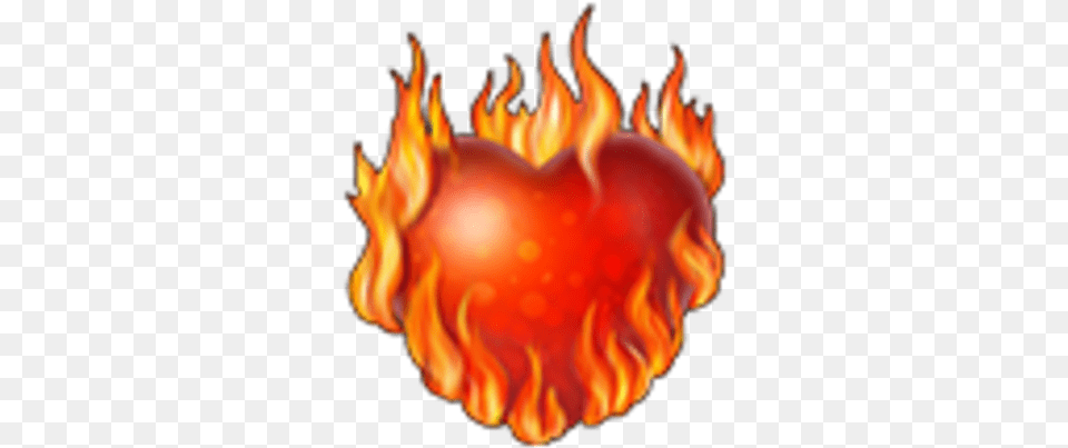 Flaming Heart Knights And Brides Wiki Fandom Flaming Heart, Bonfire, Fire, Flame Png Image