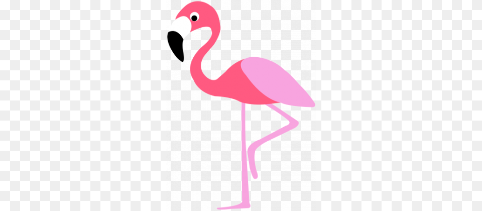 Flaming Kubek Flamingo Cartoon, Animal, Bird, Person Png