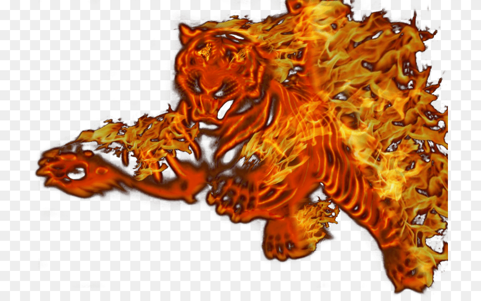 Flaming Tiger, Fire, Flame, Pattern, Accessories Png Image
