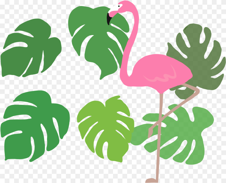 Flamingo 1 Illustration, Animal, Bird, Person, Face Free Png Download