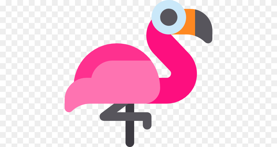 Flamingo, Animal, Beak, Bird Png
