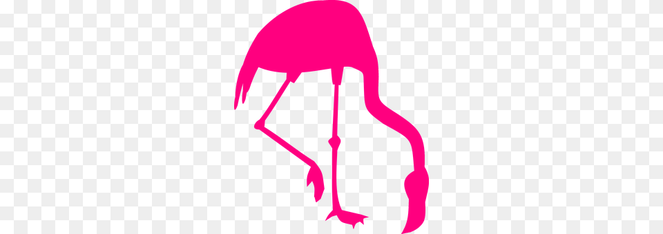 Flamingo Animal, Bird, Bow, Weapon Free Png Download