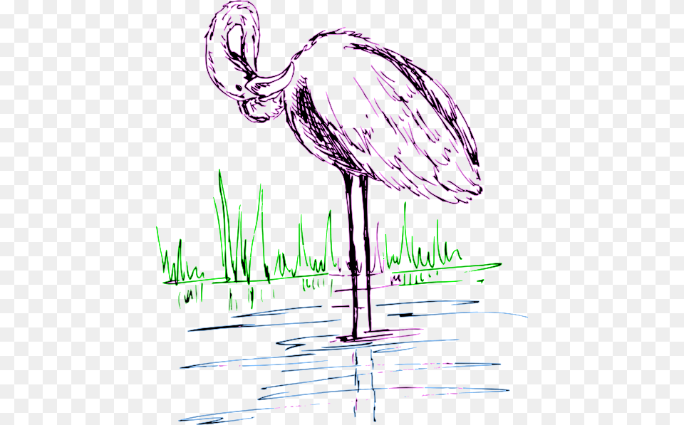 Flamingo, Animal, Bird, Waterfowl, Adult Free Png Download