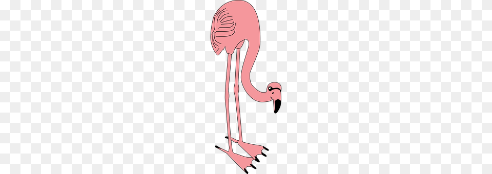 Flamingo Animal, Bird, Smoke Pipe Free Png