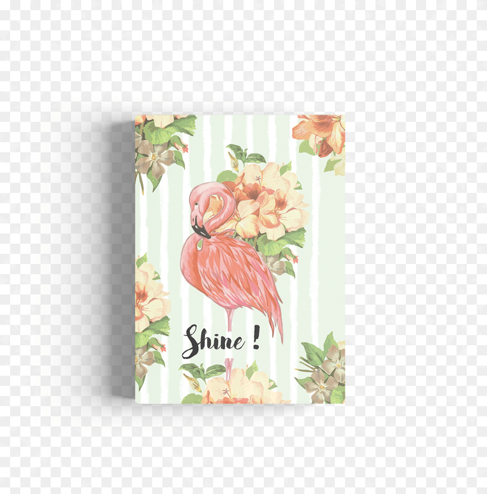 Flamingo, Envelope, Greeting Card, Mail, Animal Free Png Download