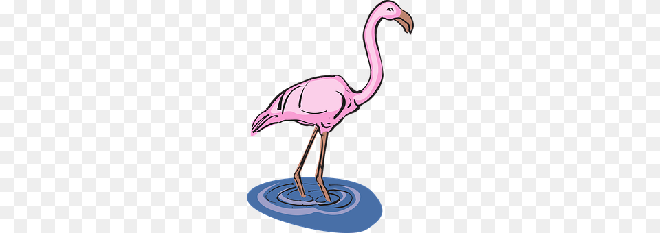 Flamingo Animal, Bird, Smoke Pipe Free Transparent Png