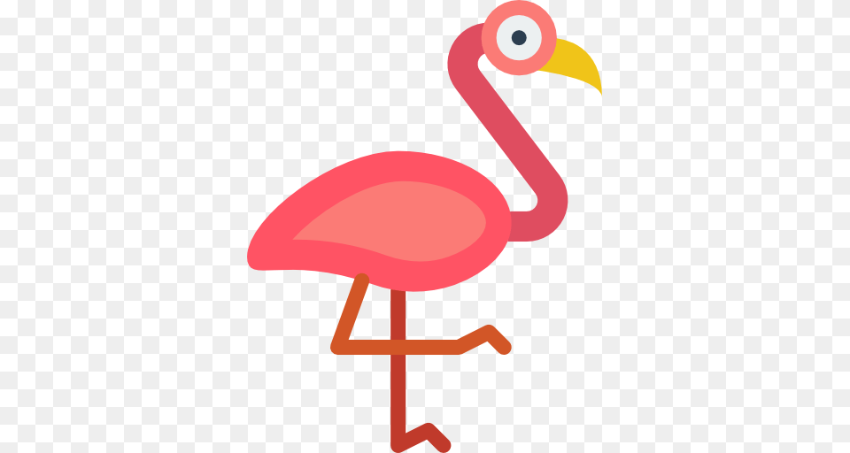 Flamingo, Animal, Beak, Bird, Dynamite Png