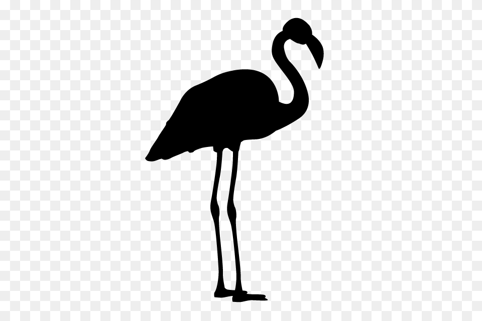 Flamingo Animal Silhouette Illustrations, Gray Free Png Download