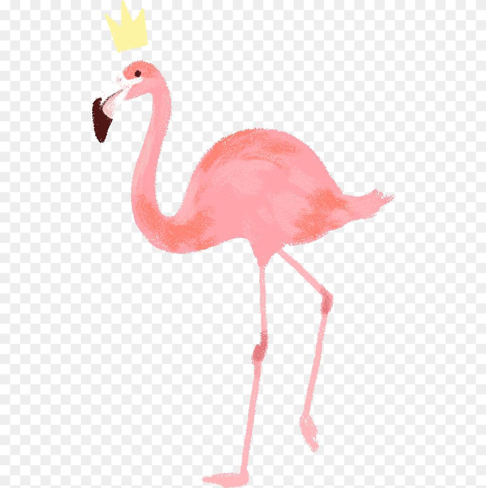 Flamingo Animated S Vintage Sticker Flamingo Flower Background Crown, Animal, Bird Free Png Download