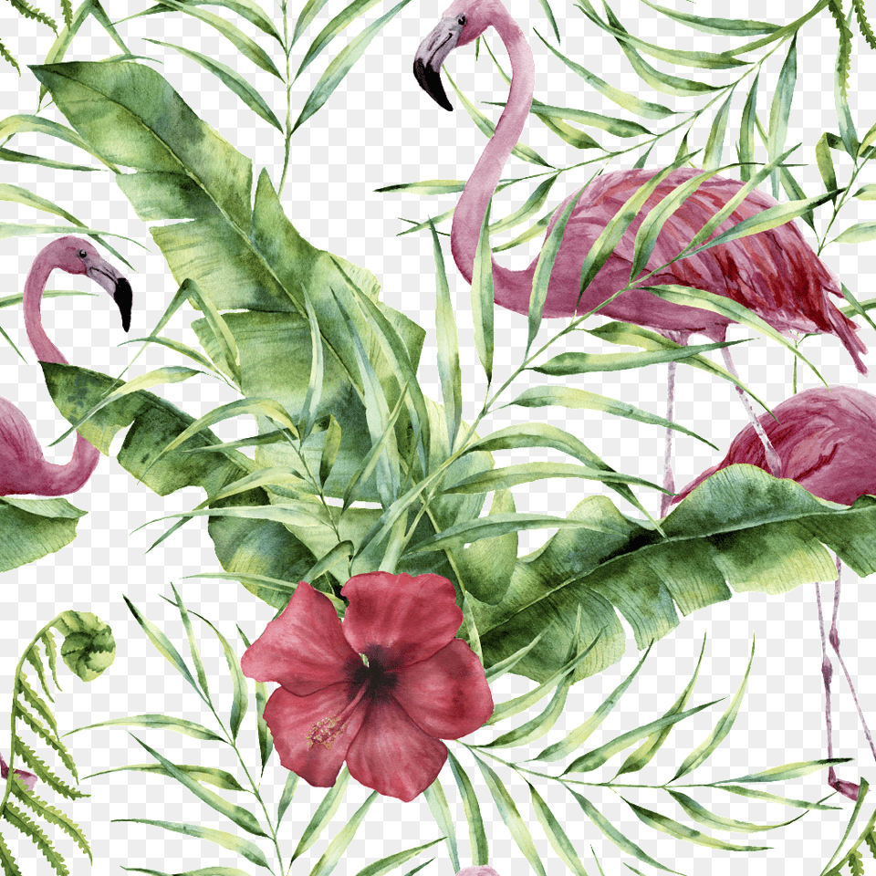 Flamingo Background Jpg Background About Backgroundfill Obrazy Z Egzotycznymi Kwiatami, Vegetation, Plant, Outdoors, Nature Free Png Download
