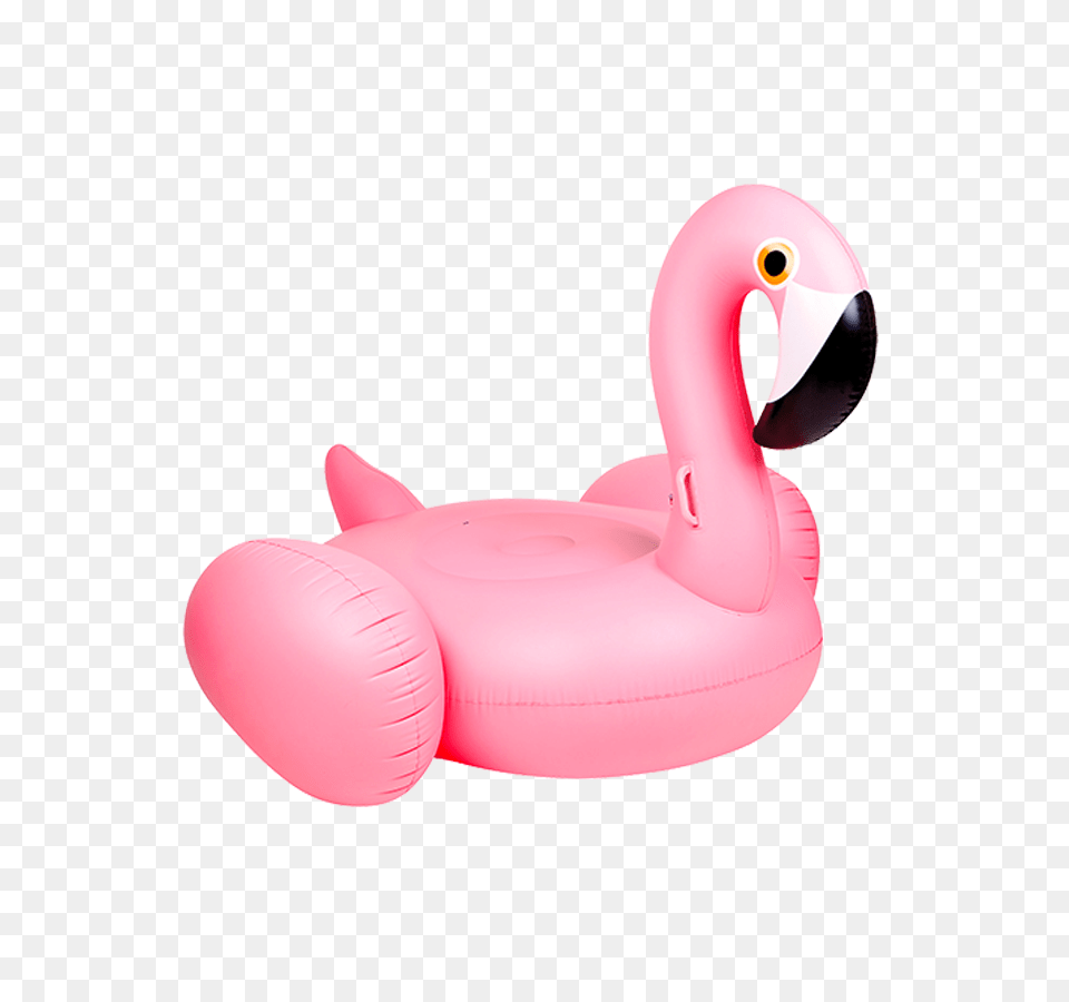 Flamingo Badmadrass Clip Art Flamingo, Inflatable, Balloon, Animal, Bird Free Png Download