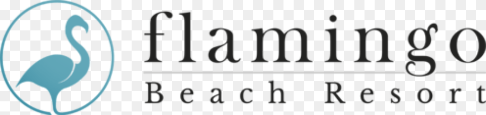 Flamingo Beach Resort Logo, Cutlery, Spoon Free Transparent Png