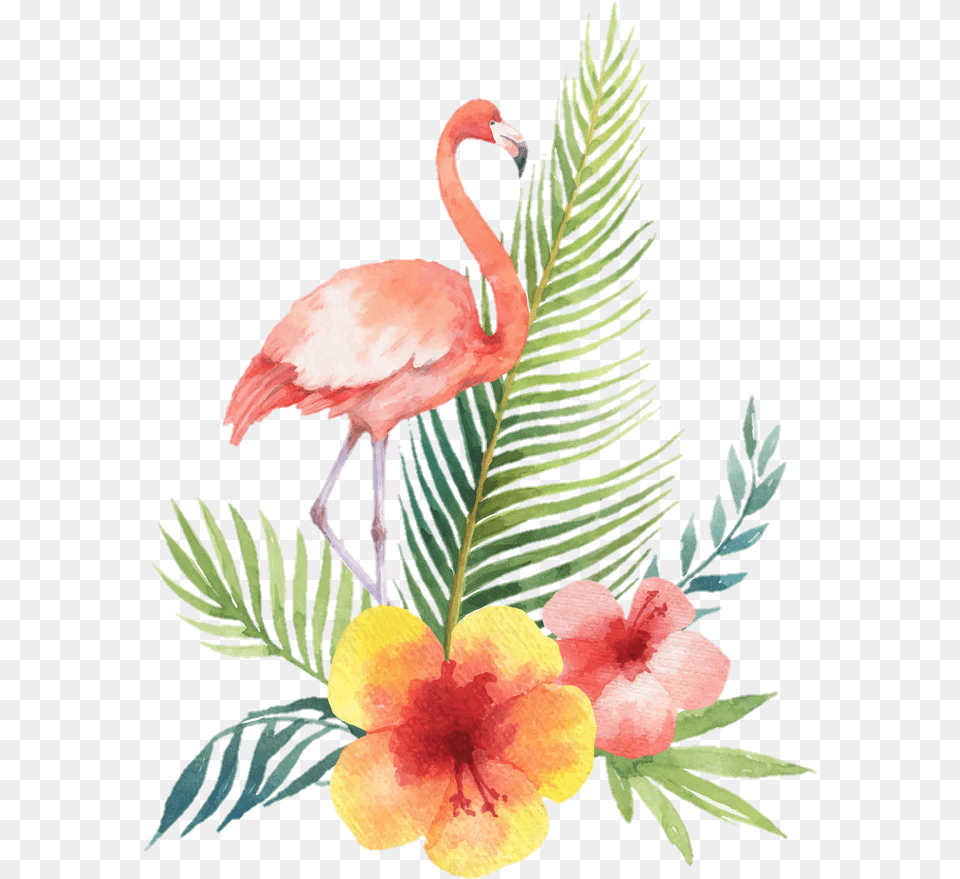 Flamingo Bird Tropical Summer Watercolor Flamingo Tropical Watercolor Vector, Animal, Plant, Flower Png Image