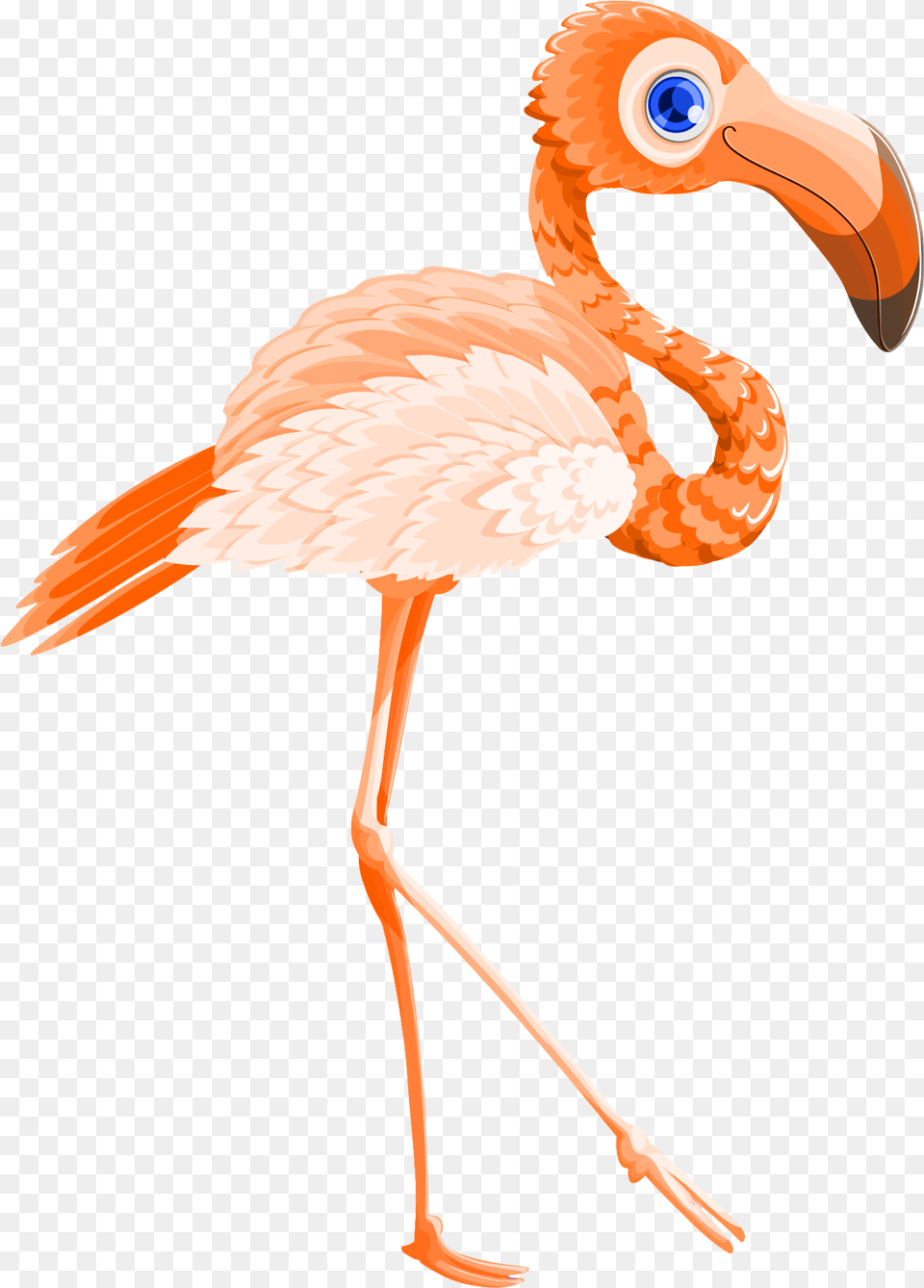Flamingo Bird Vector Image Pngpix Vector Graphics, Animal, Beak Free Transparent Png